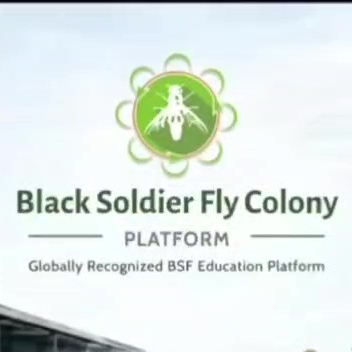 BSF Colony Platform